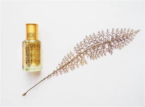 perfumes similar to ralph lauren cool